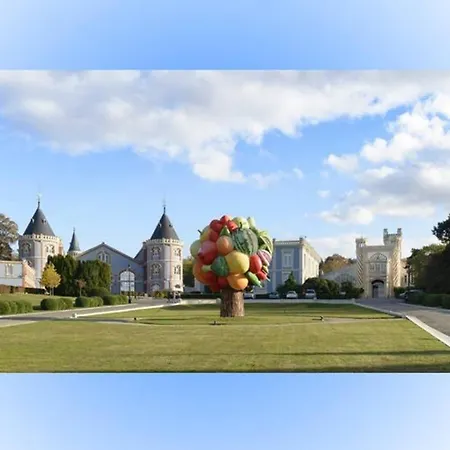 Apartment Mila T2 Tout Confort Proche Centre Ville Et Gare Centre Reims